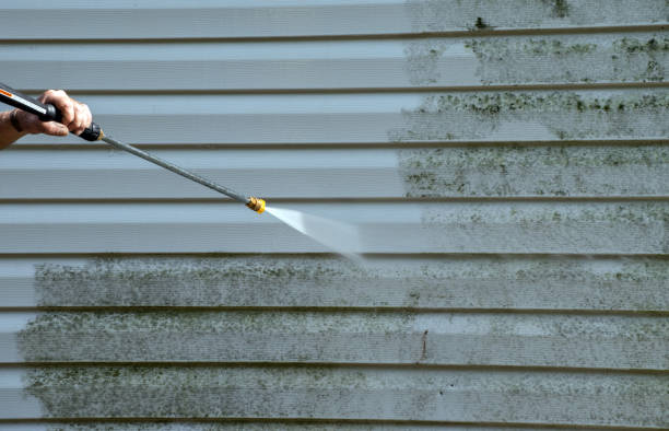 Best Roof Power Washing Services  in Caledonia, MN