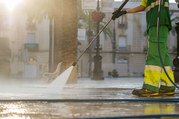 Best Local Pressure Washing Services  in Caledonia, MN