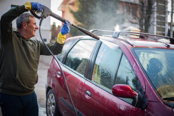 Best Best Pressure Washing Companies  in Caledonia, MN
