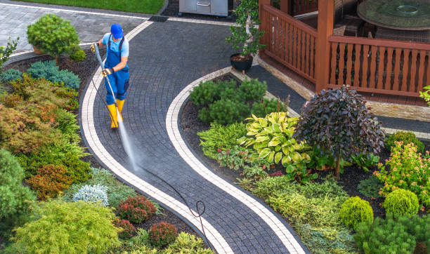 Best Commercial Pressure Washing  in Caledonia, MN